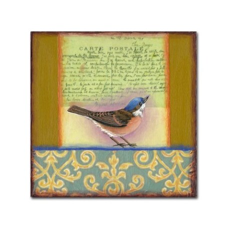 Trademark Fine Art Rachel Paxton 'Small Bird 233' Canvas Art, 35x35 ALI2488-C3535GG